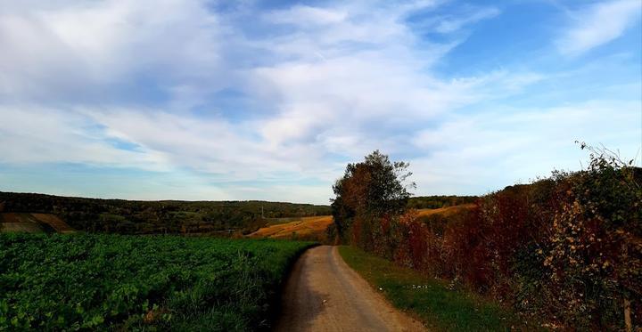 Waldschenke Zum Aennchen